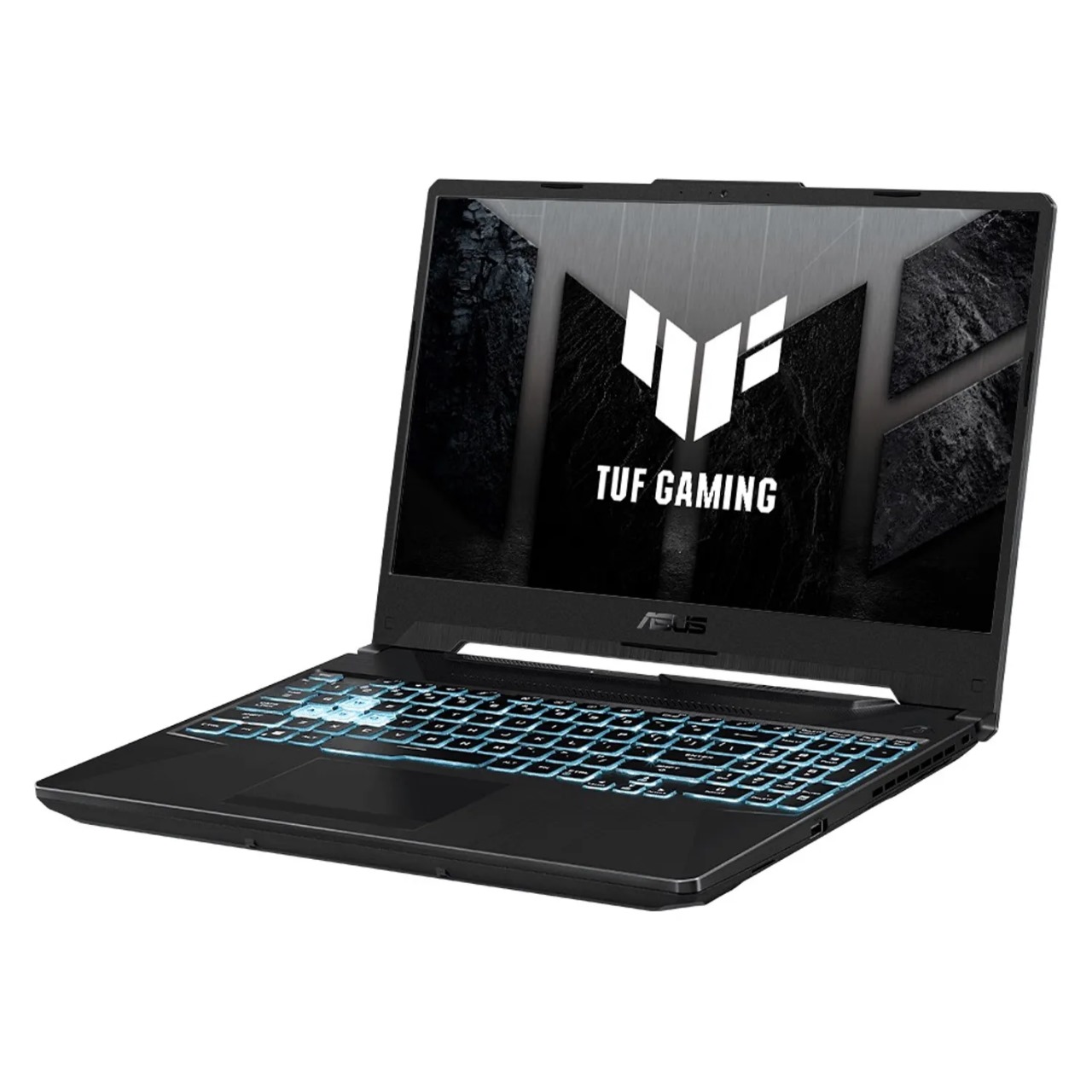 money plant money plant